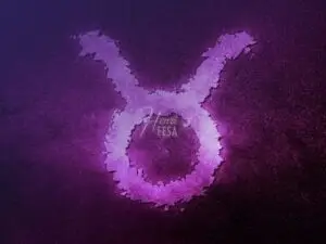 Conquiste um signo de Touro com essas dicas