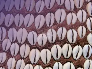 Jogo de Búzios pode errar