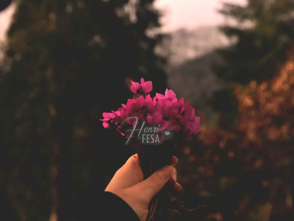 Quem é Oxum, atributos e simbologia! Uma mulher segurando flores vermelhas!