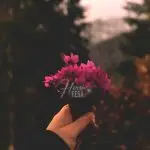 Uma mulher segurando flores vermelhas!